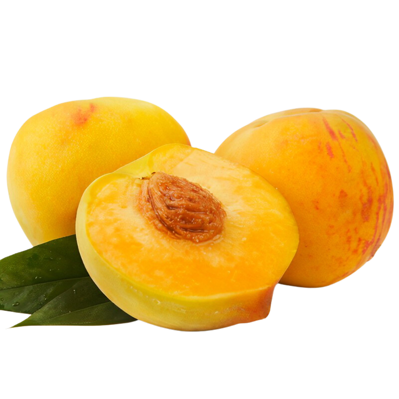 菠蘿